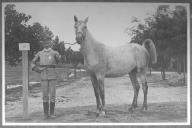 Tratador com cavalo de cor clara, identificado com o número 35.