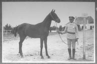 Tratador com cavalo de cor escura, identificado com o número 53.