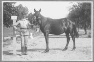 Tratador com cavalo de cor escura, identificado com o número 26.