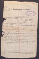 Carlos Rodigues Pascoal - Soldado Condutor