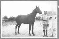 Tratador com cavalo de cor escura, identificado com o número 48.