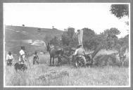 Trabalhos agrícolas.