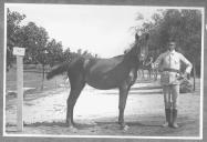 Tratador com cavalo de cor escura, identificado com o número 93.