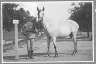 Tratador com cavalo de cor clara, identificado com o número 28.