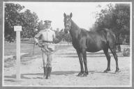 Tratador com cavalo de cor escura, identificado com o número 24.