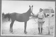 Tratador com cavalo de cor escura, identificado com o número 58.