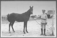 Tratador com cavalo de cor escura, identificado com o número 47.