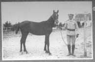 Tratador com cavalo de cor escura, identificado com o número 59.