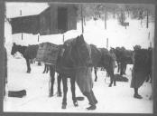 Militares e animais com carga em cenário de neve.