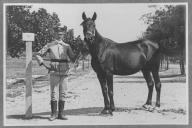 Tratador com cavalo de cor escura, identificado com o número 6.